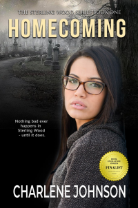 Homecoming (The Sterling Woods Series Book 1) - Published on May, 2019