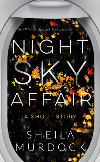 Night Sky Affair: Cynthia: A Contemporary Black African American Rekindled Romance Suspense Urban Fiction Short Reads Story - Published on Sep, 2022